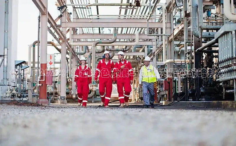 BETVLCTOR登录入口